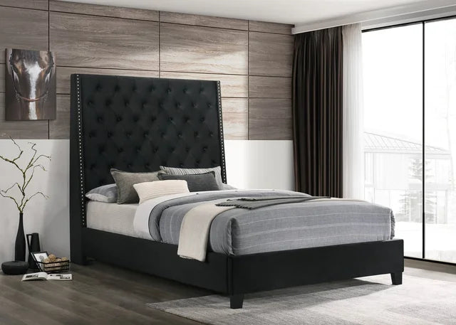 HH630 6FT - Queen, King